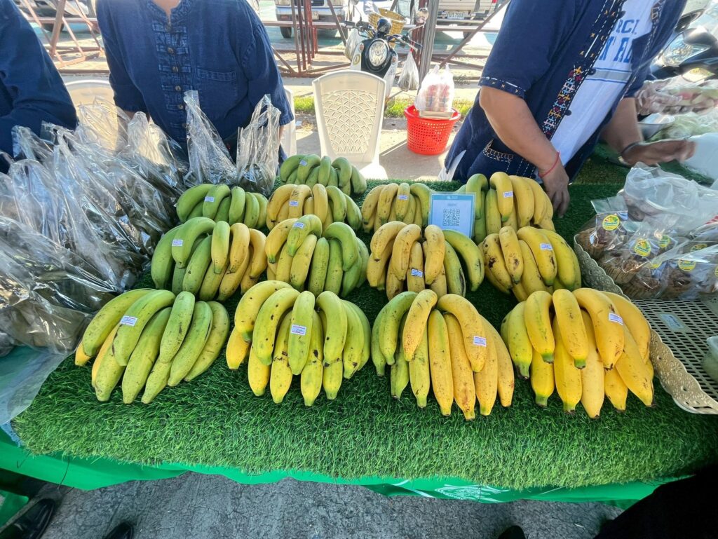 594057515_1266259408870068_2090710065127136243_n