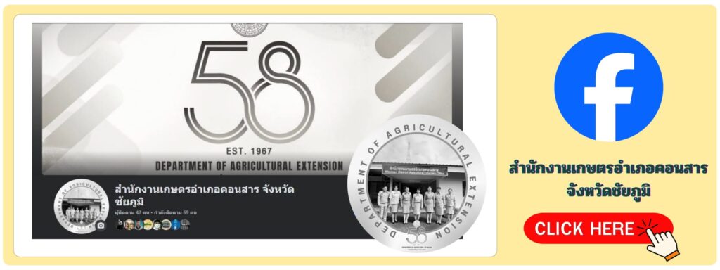 ดีไซน์ที่ยังไม่ได้ตั้งชื่อ